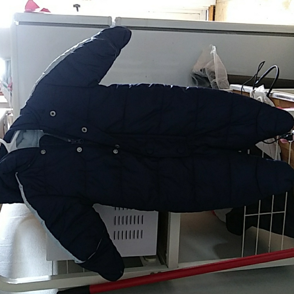 Baby suit